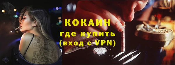 индика Киренск