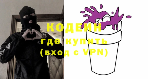 индика Киренск
