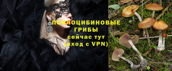 а пвп мука Кинешма
