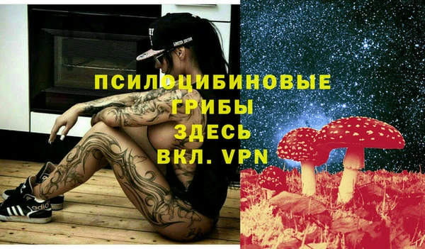 а пвп мука Кинешма