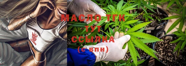 индика Киренск