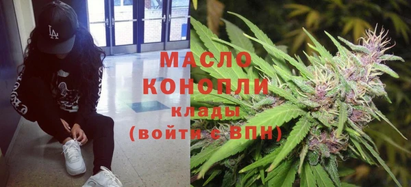 индика Киренск