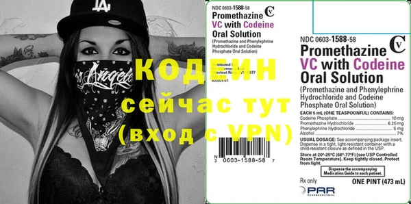 индика Киренск