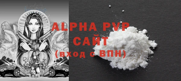 индика Киренск