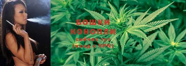 индика Киренск