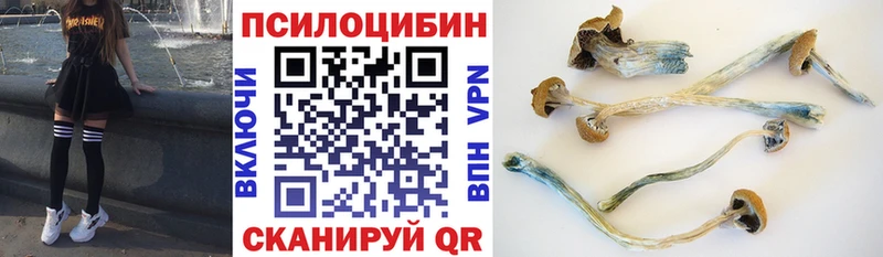 Галлюциногенные грибы Cubensis  Юхнов 