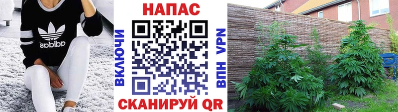 Конопля THC 21%  Юхнов 